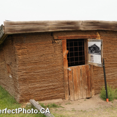 Sod cabin, Enroute to Drumheller, Beisker, Alberta
