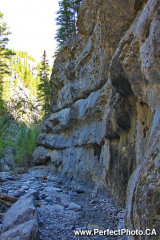 Grotto Creek Canyon Trail, Banff / Canmore area, Alberta, Canada, North America