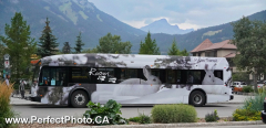 Banff, Lake Louise, Alberta Yoho, Emerald Lake, British Columbia, Canada