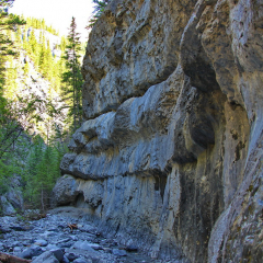 Grotto Creek Canyon Trail, Banff / Canmore area, Alberta, Canada, North America