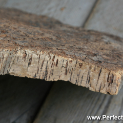 Cork tree bark, Memory Lane Heritage Village, Museum in Lake Charlotte, Nova Scotia, Canada