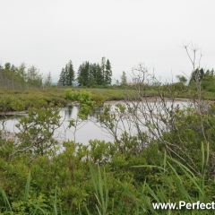 Inner pond, Oak Island, Western Shore, Lunenburg County, Nova Scotia, Canada, North America; Explore Oak Island Days 2008, Tourism Society, Pirate Treasure Dig