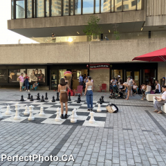 Street Chess Montreal