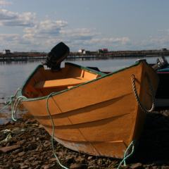 Grand Manan Island, Summer Vacation 2009