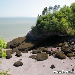 Fundy National Park 2010, New Brunswick, Canada