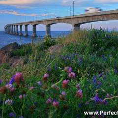 The Confederation Bridge is the world's longest bridge, NB to PEI