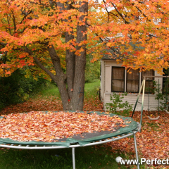 Trampoline, Fall colors and trails, Fredericton, New Brunswick