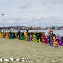 New coloured chairs, Spring Equinox, Waterfront, Halifax, Nova Scotia, Canada