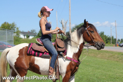 Horse riding in parade, Noel area, Cobequid Bay, East Hants, Nova Scotia, Canada