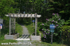 Walking trail, Lighthouse Park, Walton, Cobequid Bay, Minas Basin, Hants County, Nova Scotia, Canada