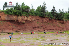 Coastline at Burntcoat