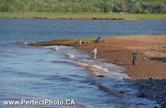 Bass Fishing, Wharf Raod, Noel, East Hants, Cobequid Bay, Nova Scotia
