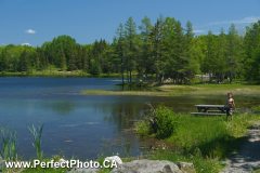 Quary Pond swimming, Cobequid Bay, Minas Basin, Hants County, Nova Scotia, Canada