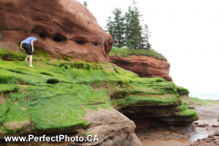 Cave exploring, Noel area, Cobequid Bay, East Hants, Nova Scotia, Canada; green seaweed