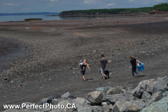 Kids, crossing tidal stream, Bramber, Cobequid Bay, Minas Basin, Hants County, Nova Scotia, Canada