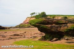 Noel Head, hole in wall, point, East Hants, Nova Scotia, Canada; Iguana