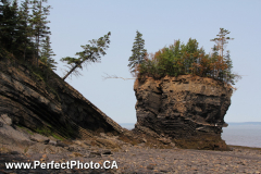 tilted shoreline, geology, Bramber, Cobequid Bay, East Hants, Nova Scotia, Canada