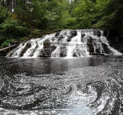 Noel area waterfall. Very interesting geology here. Less than 1/2 km from the Northfield Road, but the trail is along the top of a VERY STEEP drop off, that goes about 50 feet straight down. Along the East Noel River. N45 17.621 W063 41.714