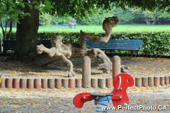 Tree root serpent at kids playground, Roskilde, Copenhagen, Baltic Sea Cruise; Vikings