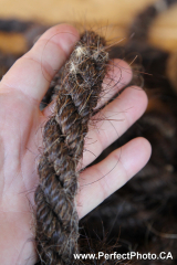 Horse hair rope, Roskilde, Copenhagen, Baltic Sea Cruise; Vikings