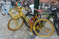 Gold bike, Roskilde, Copenhagen, Baltic Sea Cruise; Vikings