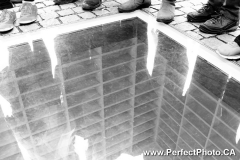 Book Burning Memorial, Berlin, Germany, Baltic Sea Cruise