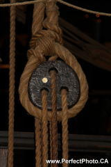 Vasa Museum, Stockholm, Sweden, Baltic Sea Cruise, Sunken ship recovery