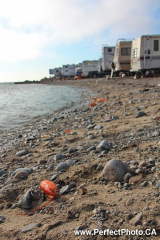 Lobster, Beach at Marina campground, Stanfest 2011, Canso, Nova Scotia, North America; Folk music festival