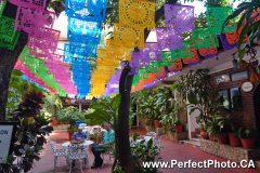 MX Overview, Puerto Vallarta