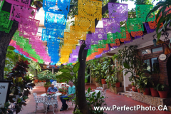 Hotel Posada de Roger, Romantic zone, Puerto Vallarta, Jalisco, Mexico, spring 2020