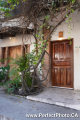 streetwalk, back streets, Puerto Vallarta, Jalisco, Mexico, spring 2020