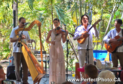 Tajin band music, Babel restaurant, Puerto Vallarta, Jalisco, Mexico; Harp, pan flute, cow bones, violin, box drum