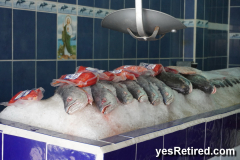 Fresh fish, Romantic Zone, Puerto Vallarta, Jalisco, Mexico