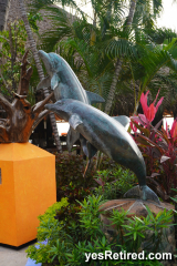 dolphins, Las Palmas, Hotel zone, Puerto Vallarta, Jalisco, Mexico