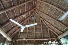 palapa roof, Babel restaurant, Puerto Vallarta, Jalisco, Mexico