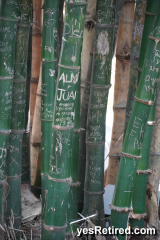 Bamboo grove, Babel restaurant, Puerto Vallarta, Jalisco, Mexico