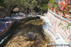 Restaurant "Capomo Paradise", Rural jungle, Puerto Vallarta, Jalisco, Mexico