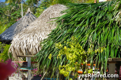 Restaurant "Capomo Paradise", Rural jungle, Puerto Vallarta, Jalisco, Mexico