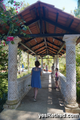 bridge, Vallarta Botanical Gardens AC, Rural jungle, Puerto Vallarta, Jalisco, Mexico