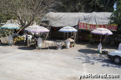 Roadside market, Bus ride to Sayulita, Puerto Vallarta, Jalisco, Mexico