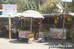 roadside market, Bus ride to Sayulita, Puerto Vallarta, Jalisco, Mexico
