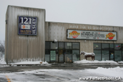 Faithful steed, Rodeo Lounge, Winter snow storm, white wonderland, Dartmouth, Nova Scotia, Canada, North America; horse, Illsley, building, funny, open for breakfast sign