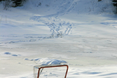 Outdoor hockey rink, goalie net, Winter wonderland, Enfield area, East Hants, Nova Scotia, Canada, North America; white, snow, snowman, snow people, snow play