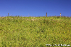Farm Fence
